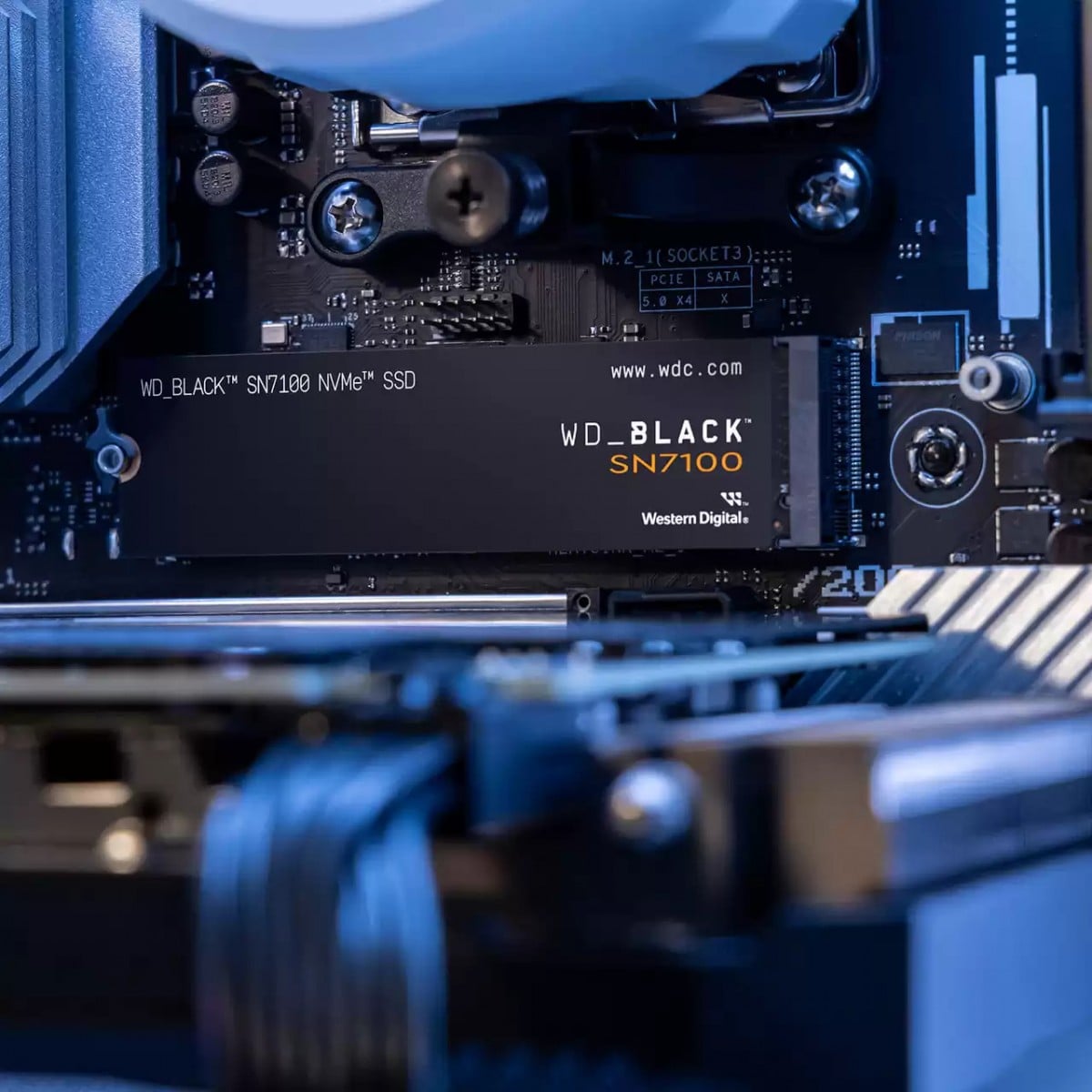 WD Black SN7100 NVMe SSD 500Go M.2 2280 POWERED BY SANDISK