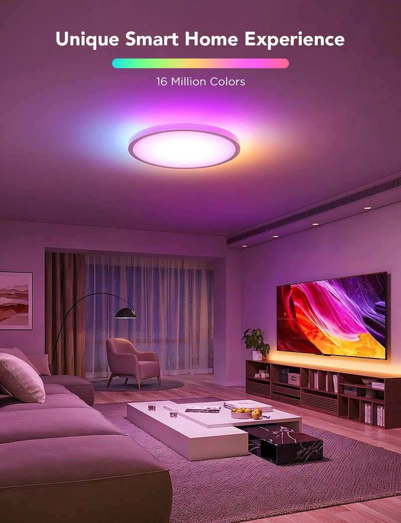 Govee H80A1C01 Lumiere de plafond intelligente ronde RGBWW RGBIC de 12 pouces