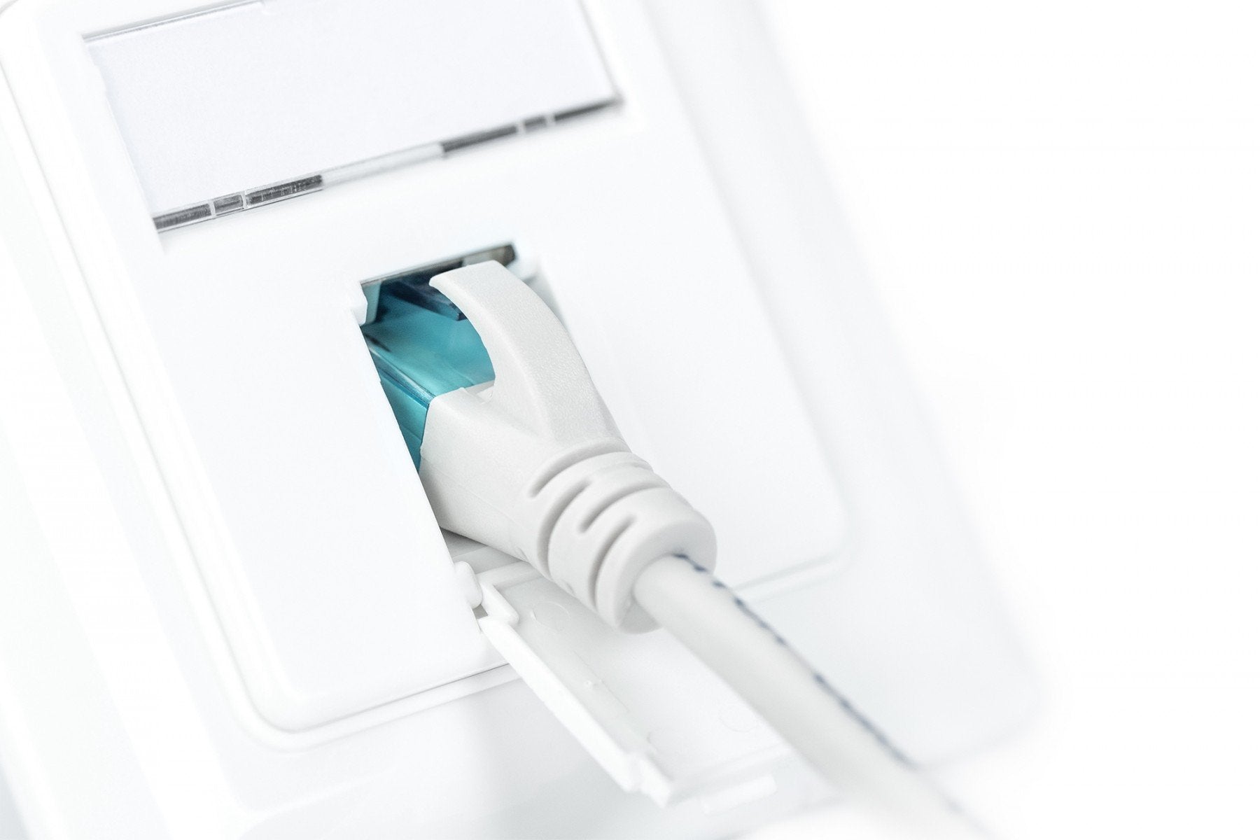 Digitus DN-9010/8-1 prise de courant RJ-45 Blanc
