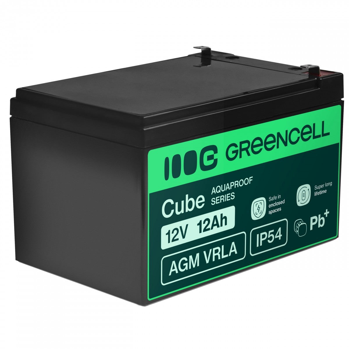 Green Cell AGM12V12AH-J AGM VRLA 12V 12Ah sans entretien Batterie pour caisse enregistreuse, jouet, caméra (152x99x100mm)