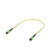 UACC-OFC-SA-MPMP-3M-10