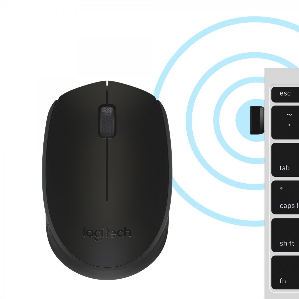 LOGITECH B170 Mouse optical 3 buttons wireless 2.4 GHz USB wireless receiver black