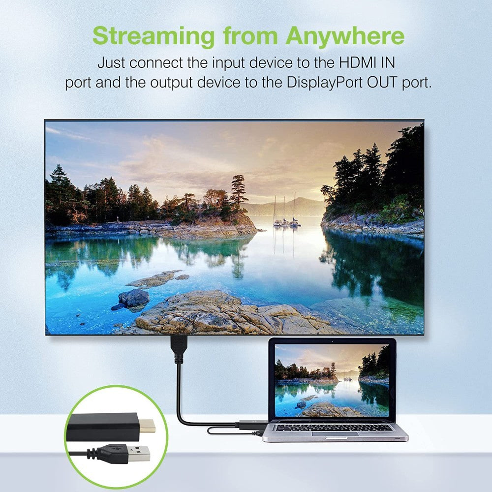 Techly ICOC HDMI-DP12A Adaptateur HDMI vers DisplayPort alimenté par USB 4K*30Hz M/F