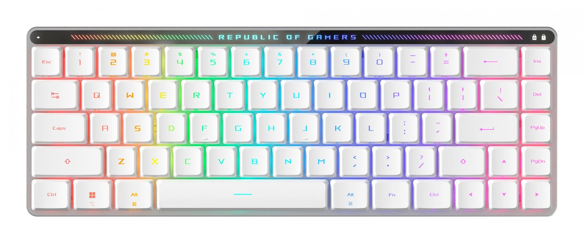 ASUS ROG Falchion RX Low Profile clavier Gaming USB + RF Wireless + Bluetooth Blanc