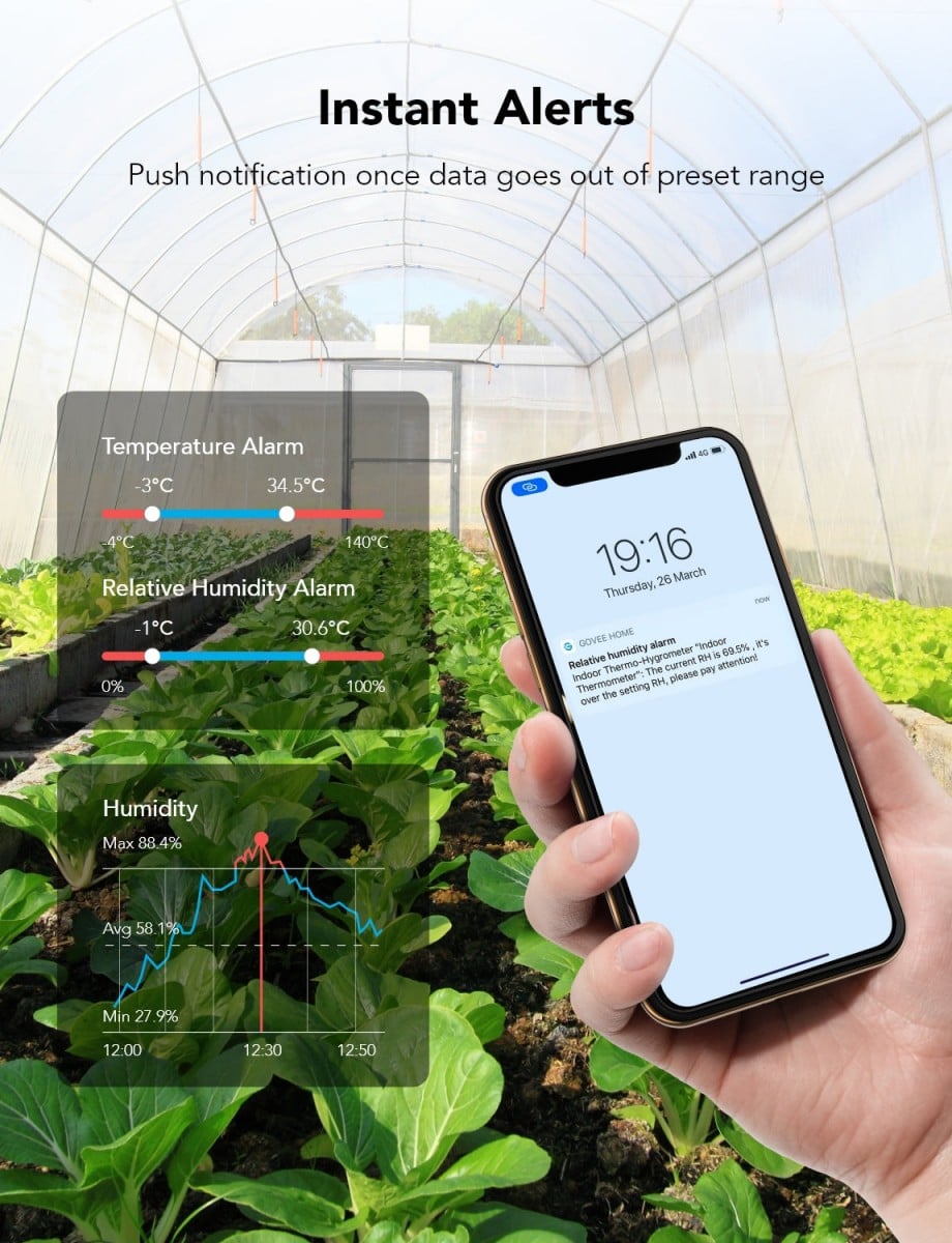 Govee H5075001 Thermometre Hygrometre Bluetooth avec Écran