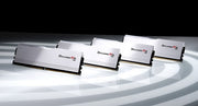 G.Skill Ripjaws M5 RGB F5-6400J3239G16GX2-RM5RW module de mémoire 32 Go 2 x 16 Go DDR5