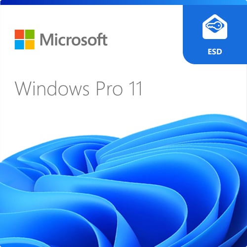 MS ESD Windows Professional 11 64-bit All Languages Online Product Key License 1 License Downloadable ESD NR