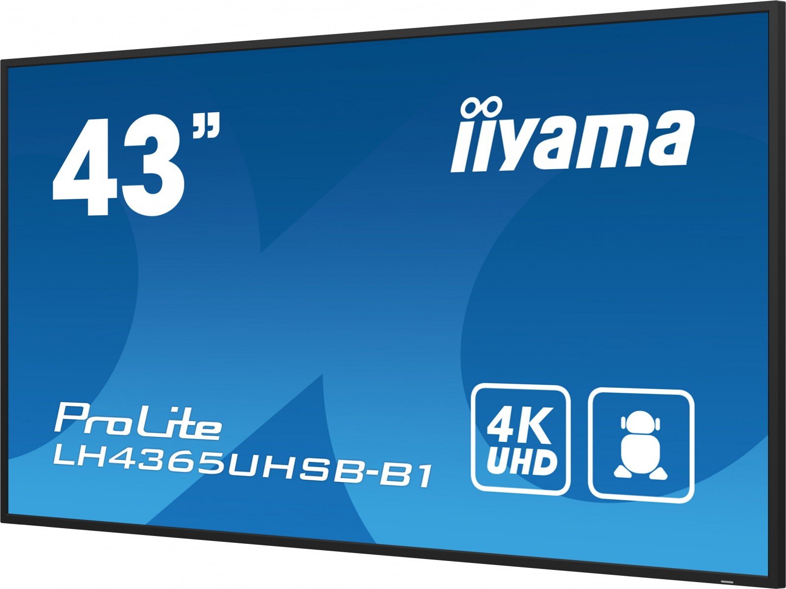 43" 3840x2160 UHD IPS Haze 1% 800c