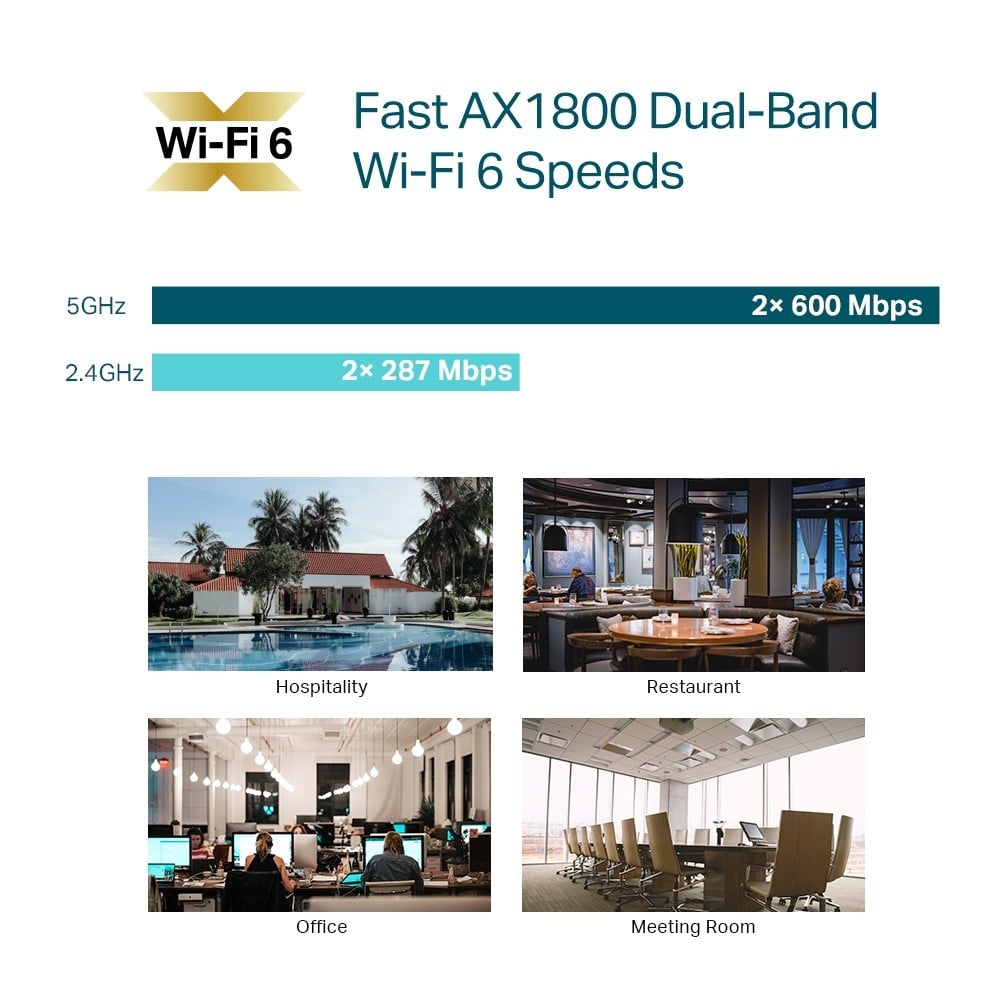 AX1800 Ceiling Mount Dual WiFi 6 Acc Pnt