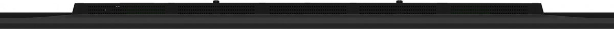 65" 3840x2160 UHD IPS Haze 1% 800cd