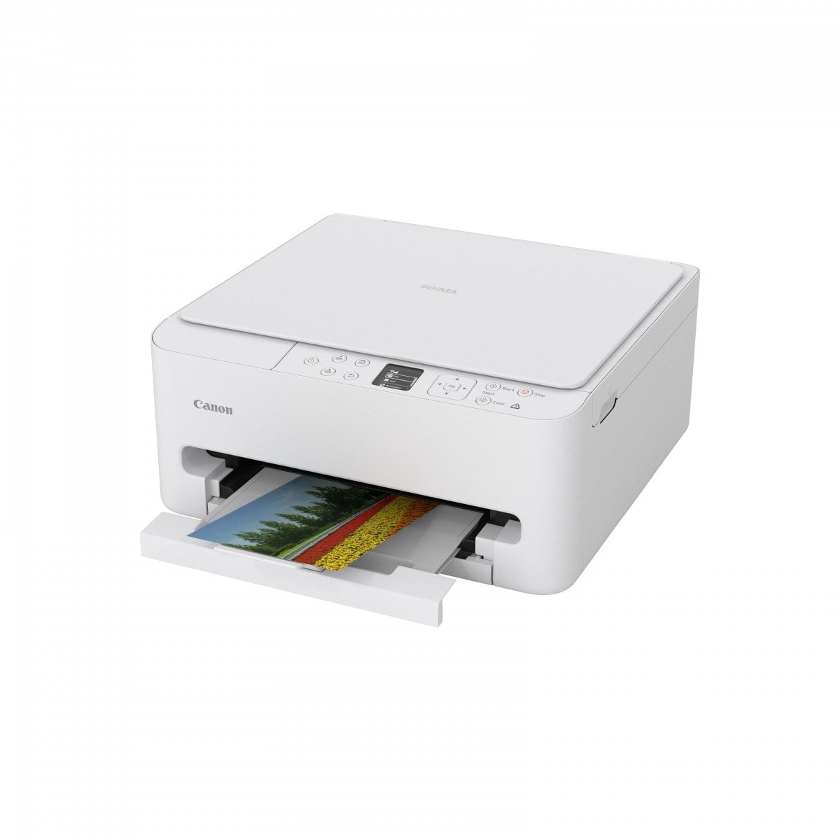 CANON PIXMA TS6550i A4 3in1 MFP Printer Duplex 14ppm