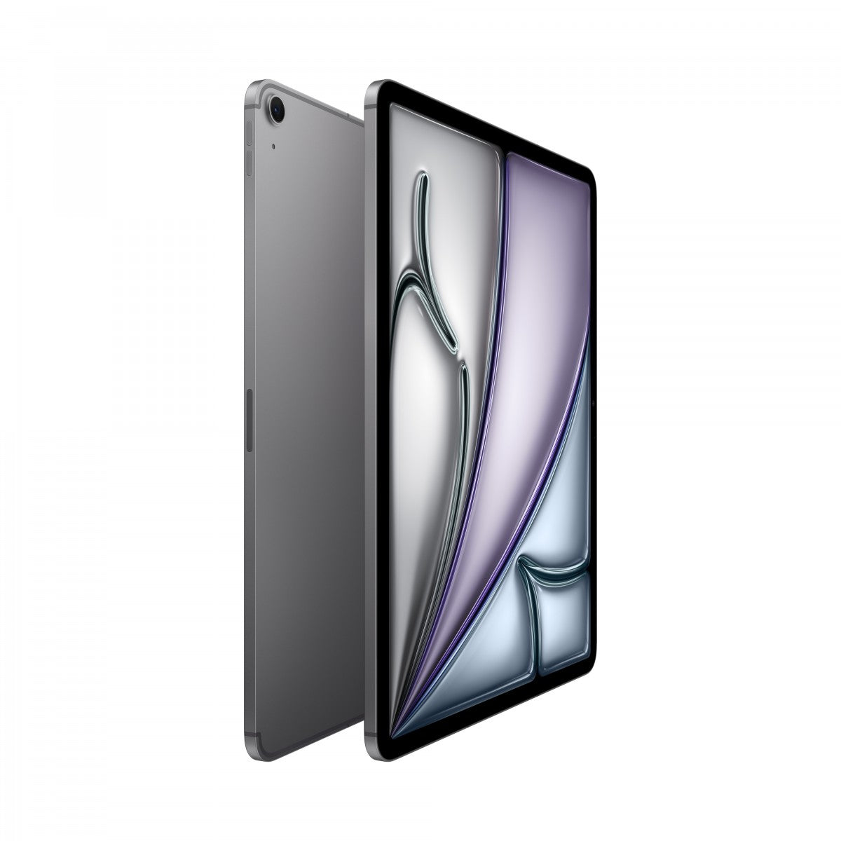 Apple iPad Air 13 pouces M4 WiFi + Cellular 256 Go - Gris sidéral