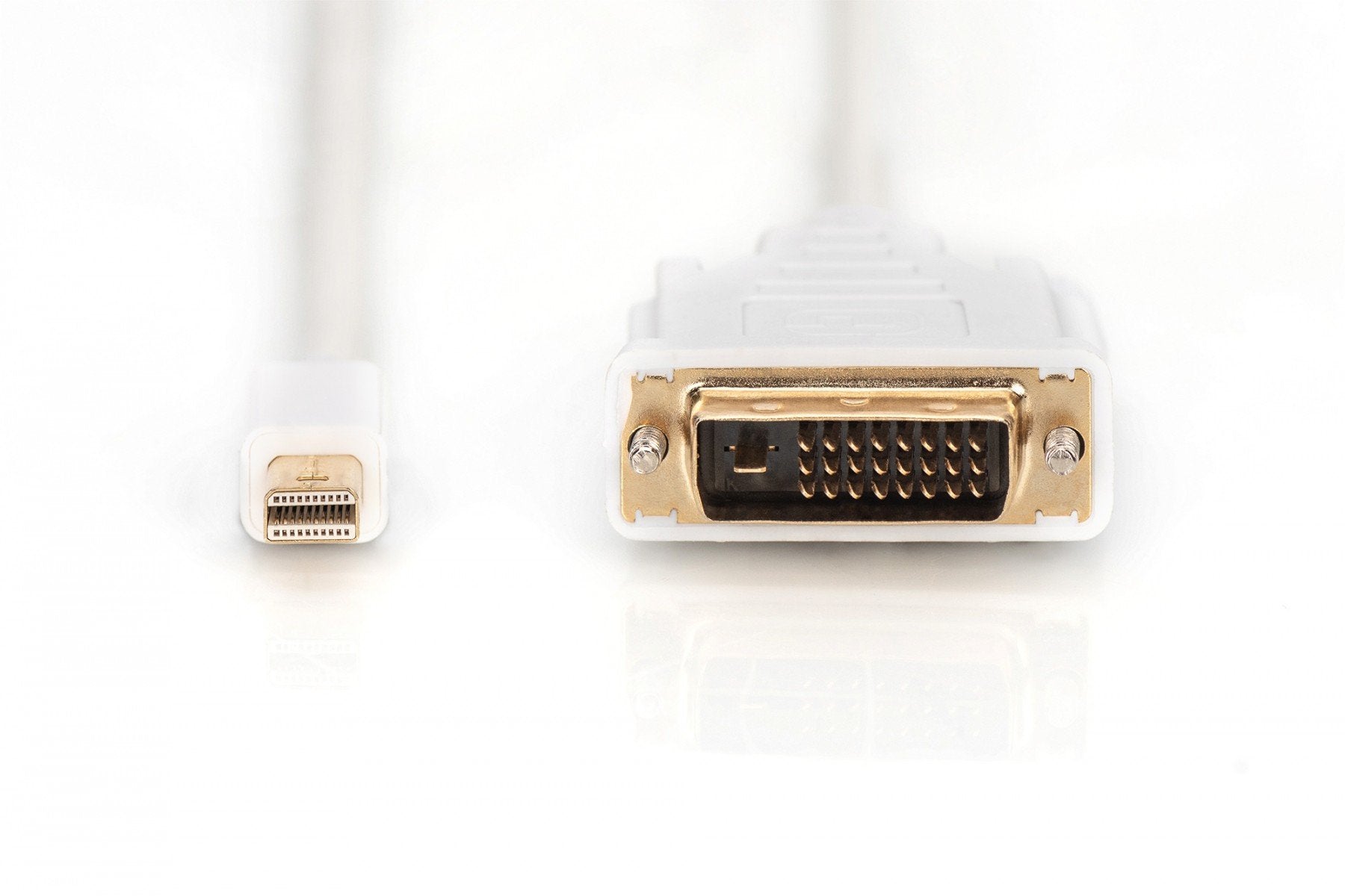 DIGITUS Câble d'adaptateur DisplayPort - 2 m - Mini DisplayPort - DVI-D - Nickel - 1.1a - Cuivre