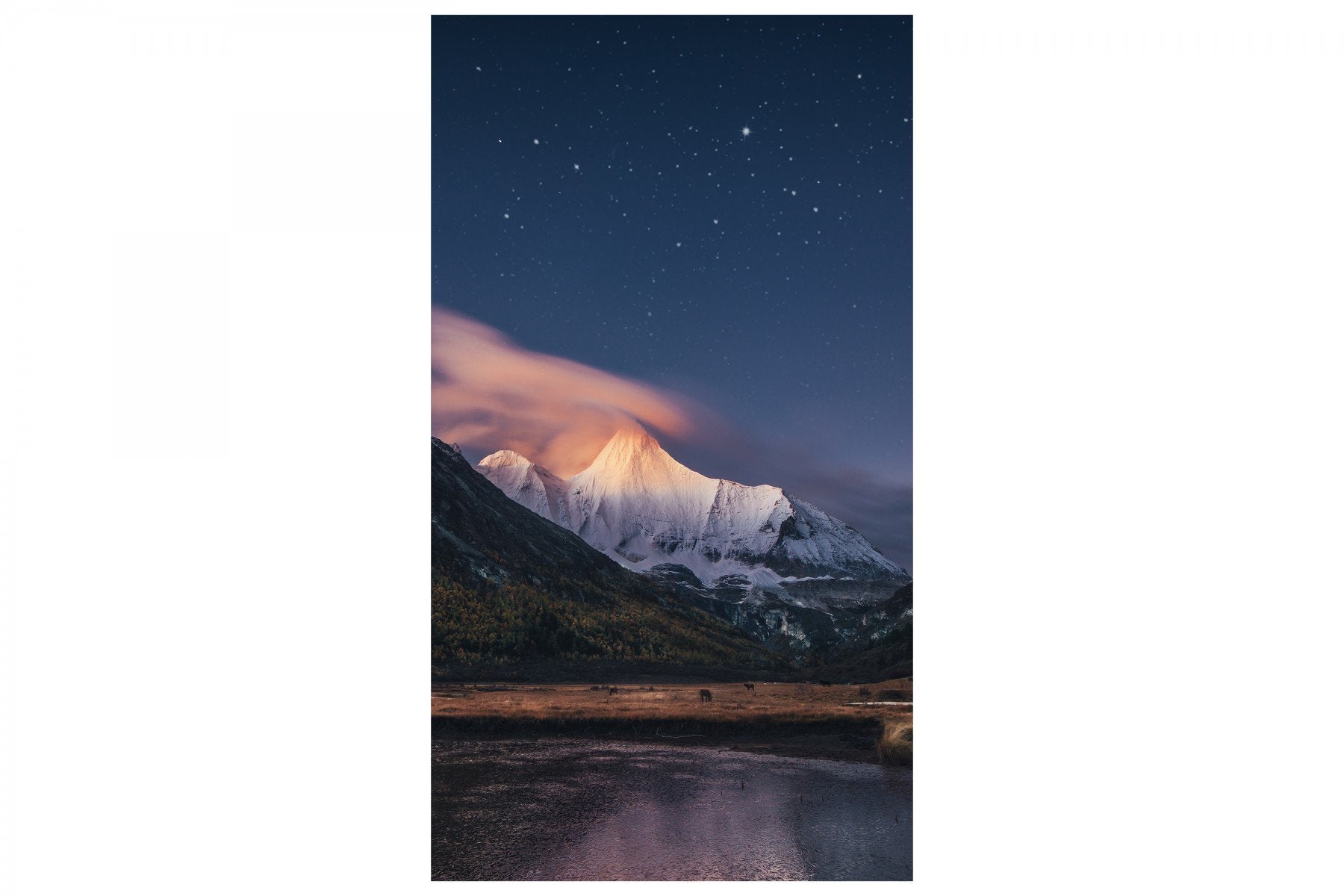SAMSUNG VMC55R 55p FHD 0.88mm Frame