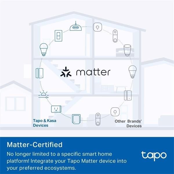 TP-Link TAPO P100M Prise intelligente 2300 W Maison, Bureau Blanc