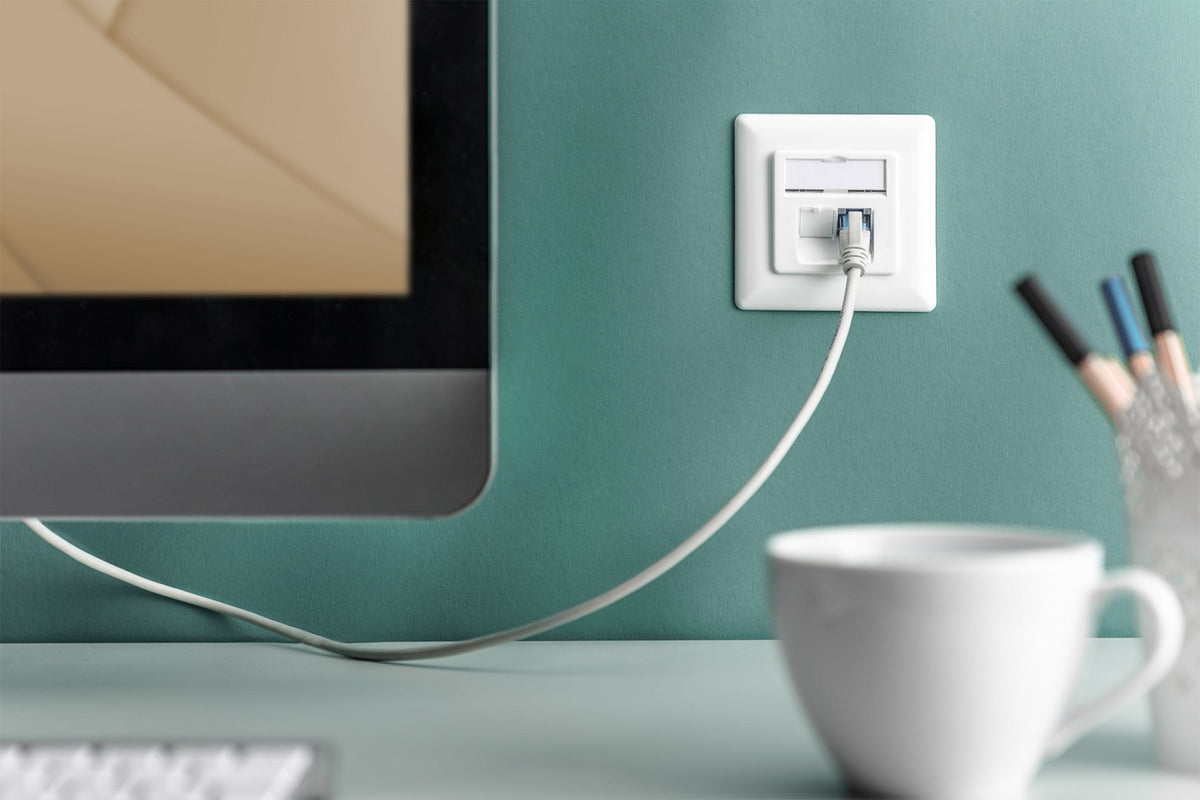 Digitus DN-9007-1 prise de courant 2 x RJ-45 Blanc