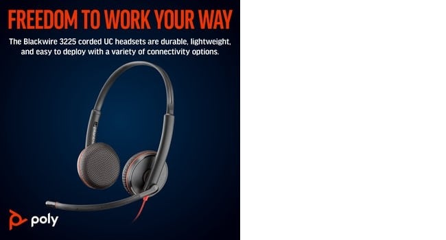 Poly BW 3225 USB-C HS+USB-C/A Bulk