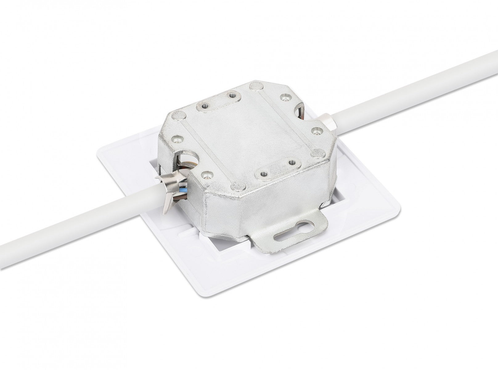 Intellinet 771900 prise de courant 2 x RJ-45 Blanc