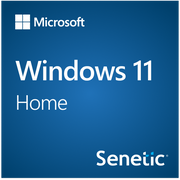 Windows 11 Home 64Bit Polish 1pk DSP OEI DVD