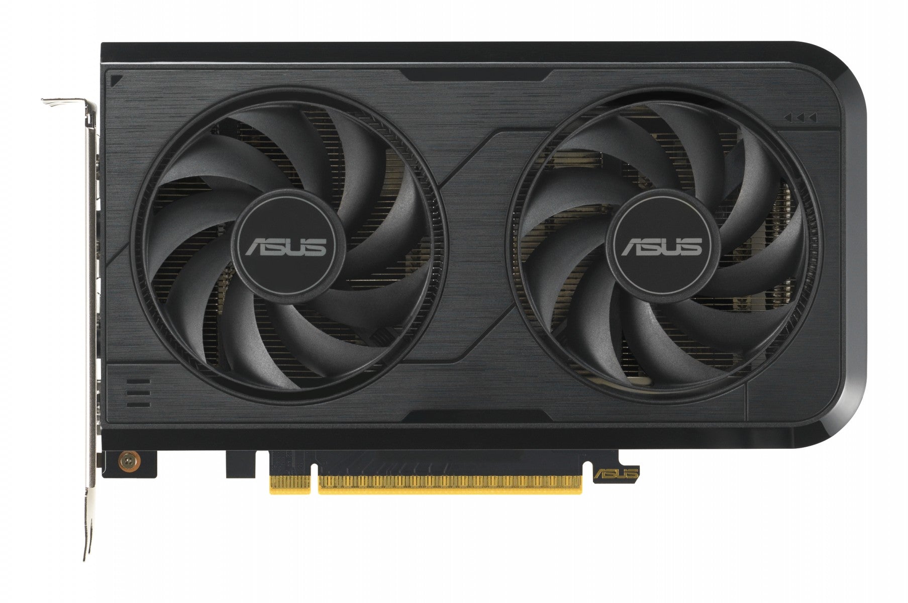 ASUS DUAL Geforce RTX 5050 OC 8Go GDDR6 3xDP 1xHDMI