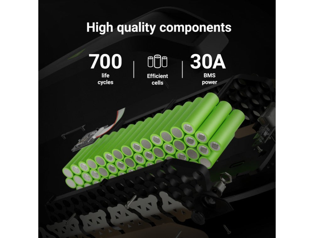 Green Cell EBIKEGCF03 Batterie pour vélo électrique 48V 14.5Ah Li-Ion avec Chargeur PowerMove