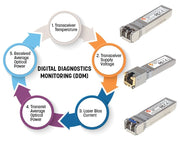 Intellinet 508742 module émetteur-récepteur de réseau Fibre optique