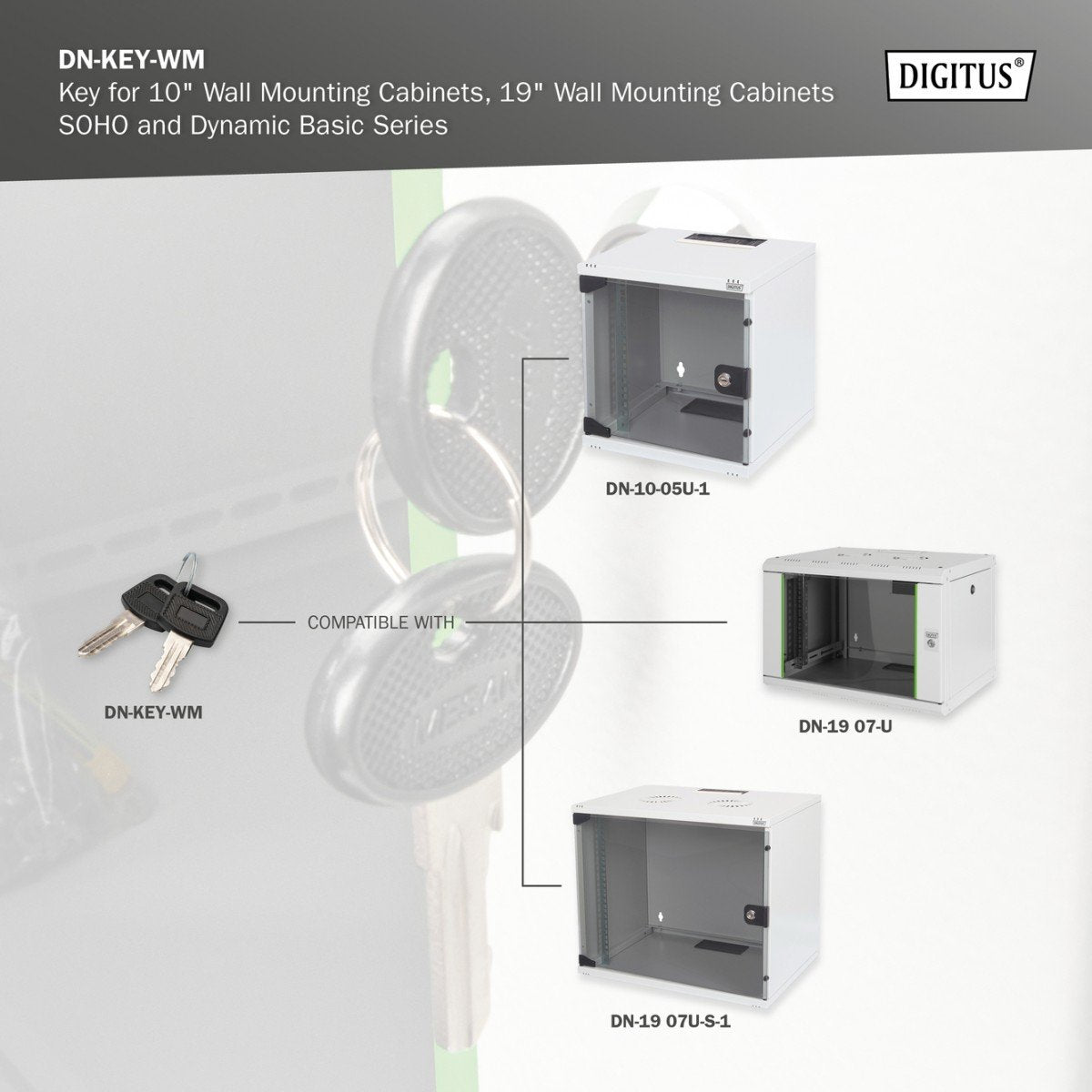 Digitus DN-KEY-WM accessoire de racks Clé de verrouillage