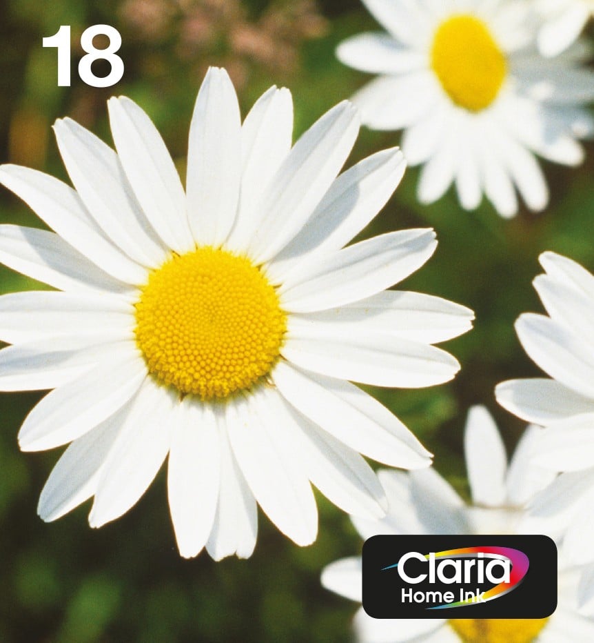 EPSON 3LB EasyMail MP Daisy Claria Multipack Home CMYK