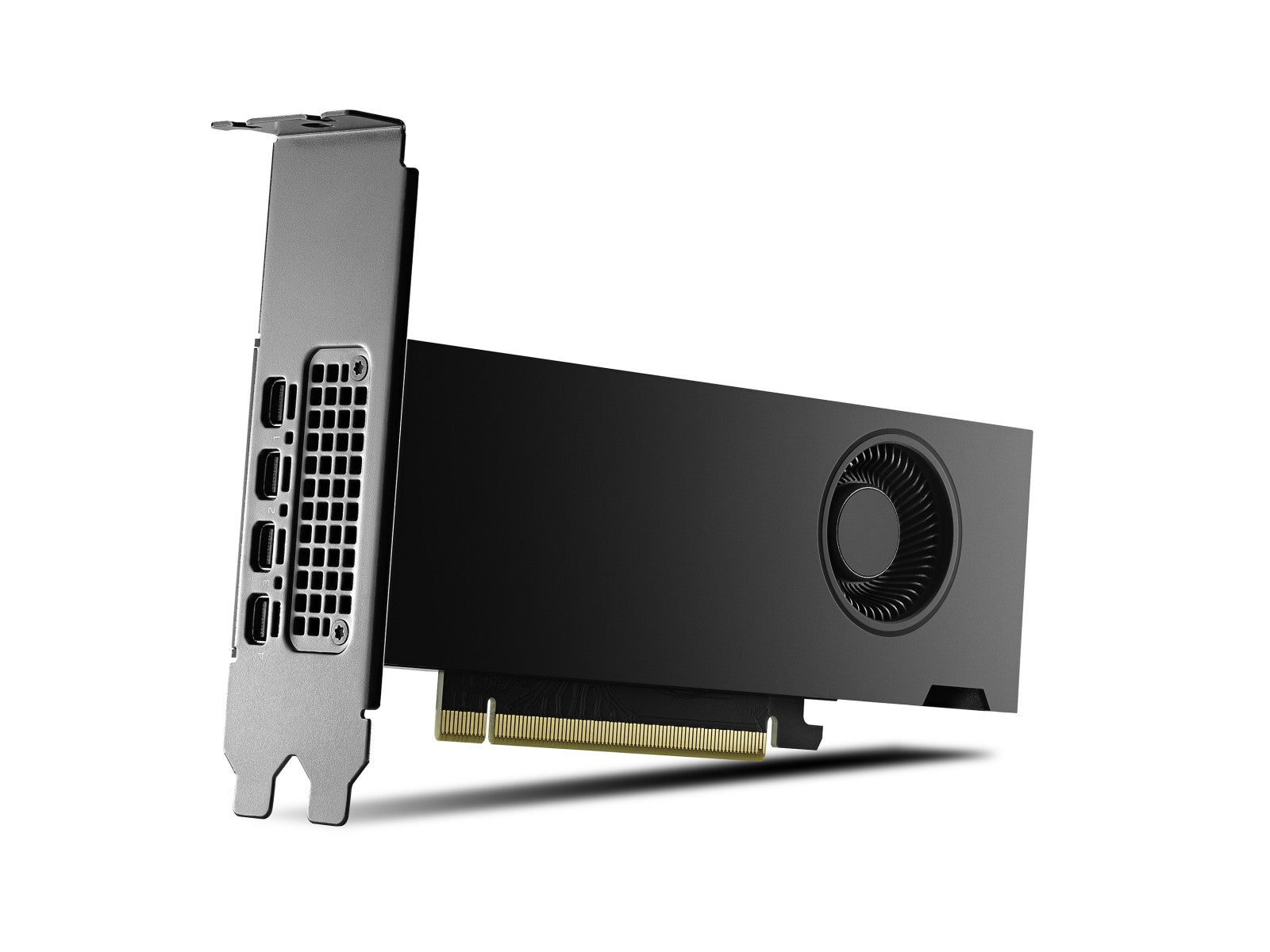 PNY NVIDIA RTX 2000 Génération Ada Low Profile Version OEM VCNRTX2000ADA-SB