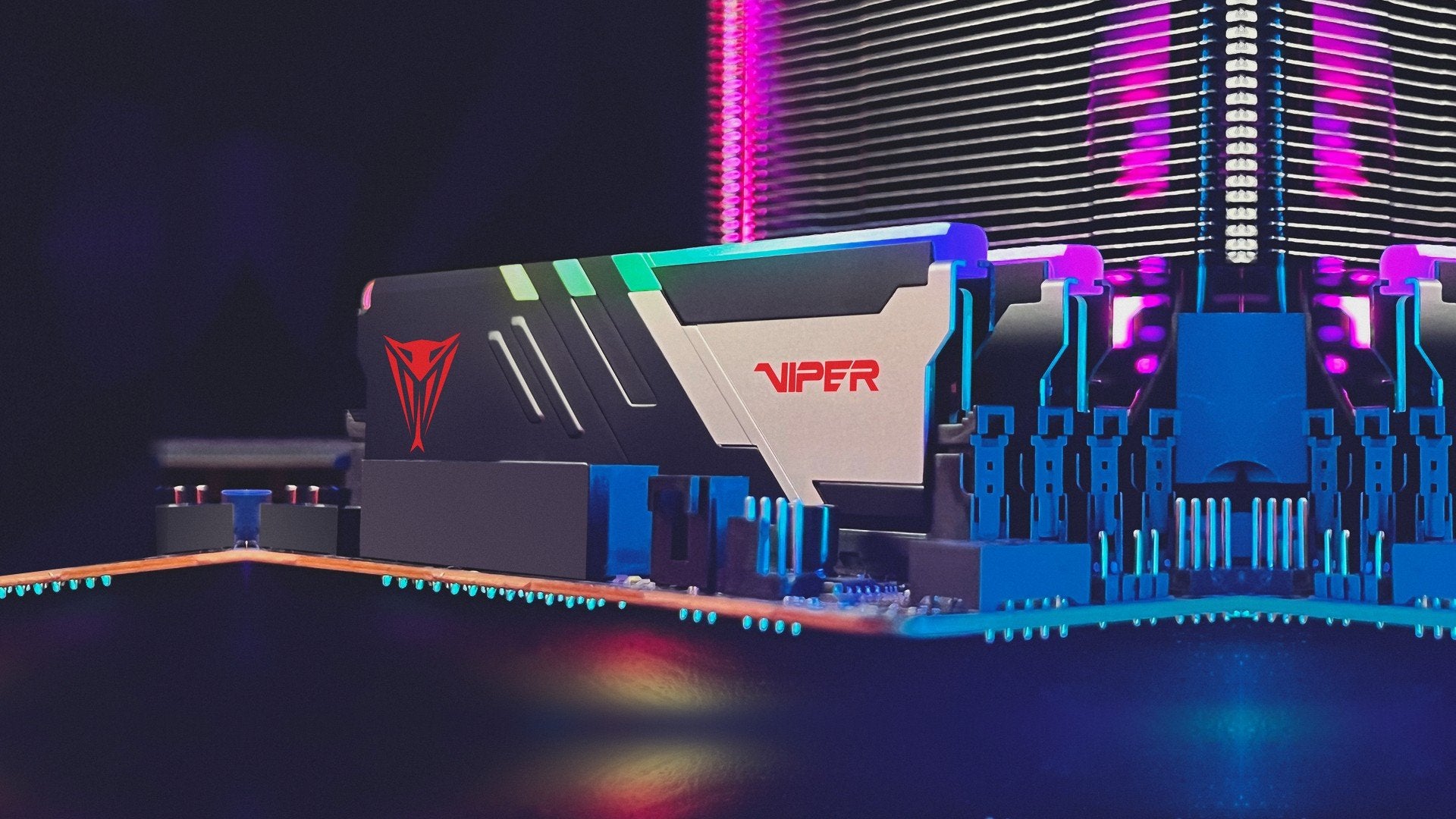 Module de mémoire Patriot Memory Viper Venom 32 Go 2 x 16 Go DDR5 6000 MT/s ECC