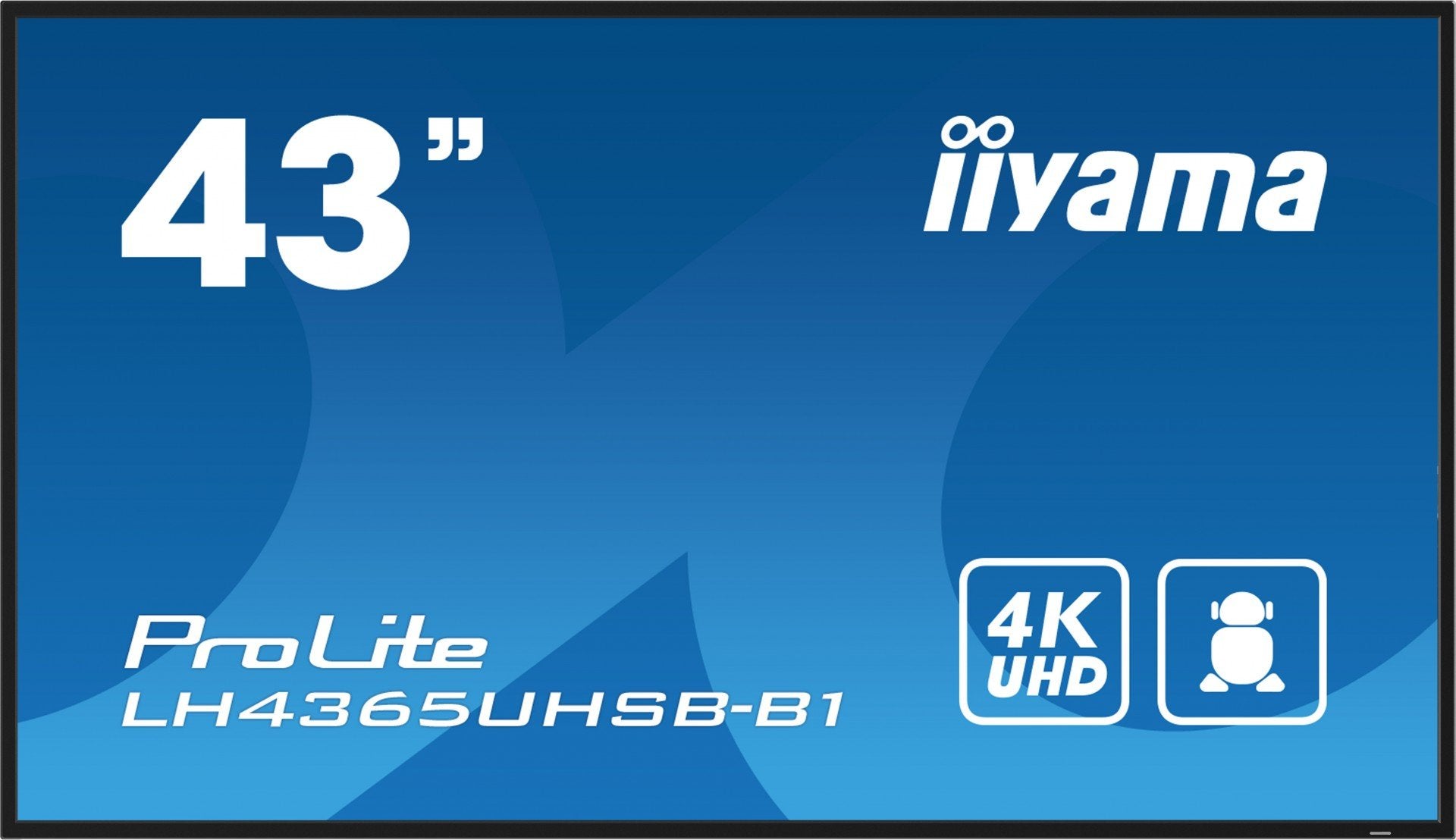 43" 3840x2160 UHD IPS Haze 1% 800c