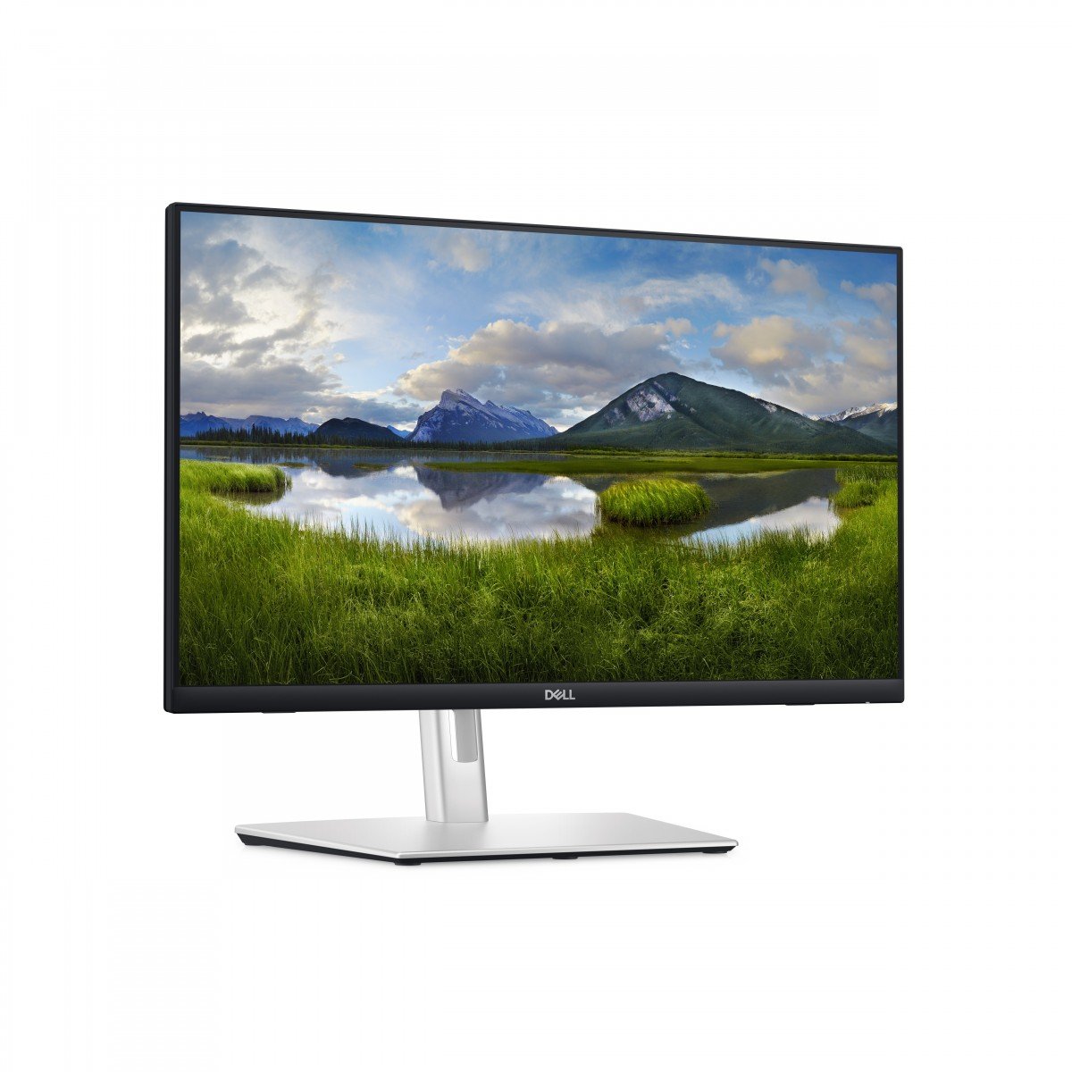 Dell 24" P2424HT FHD Touch Monitor