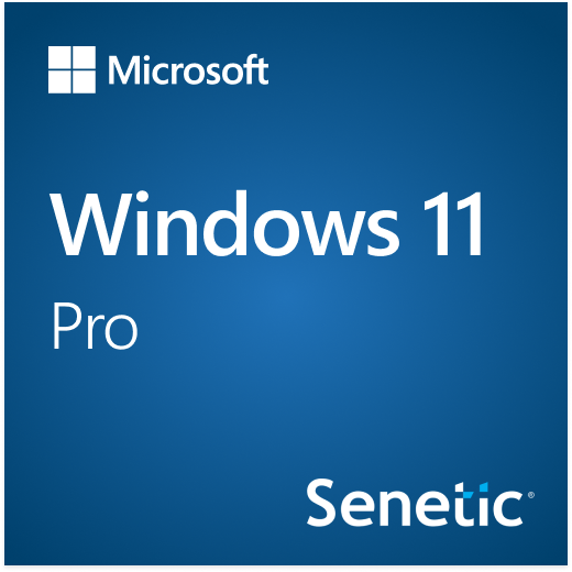 Windows 11 Pro 64Bit Polish 1pk DSP OEI DVD