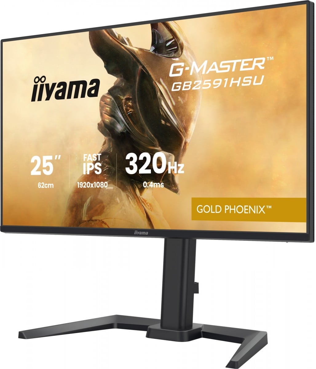 GB2591HSU-B1 24.5"FHD Fast IPS 320Hz/HAS