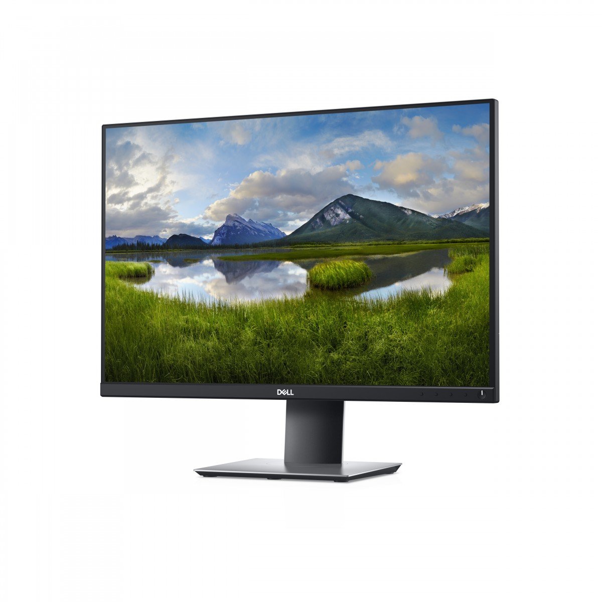 "DELL P Series P2421 61,2 cm (24.1"") 1920 x 1200 pixels WUXGA LCD Noir"