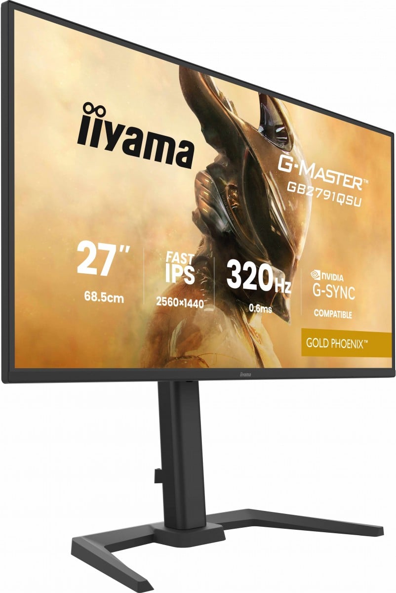 GB2791QSU-B1 27" QHD Fast IPS 320Hz/HAS