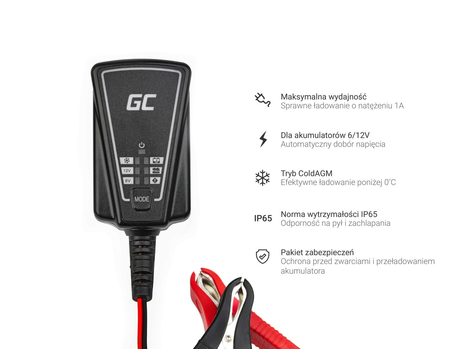 Green Cell ACAGM06 Chargeur de batterie pour véhicules 12/6 V Noir