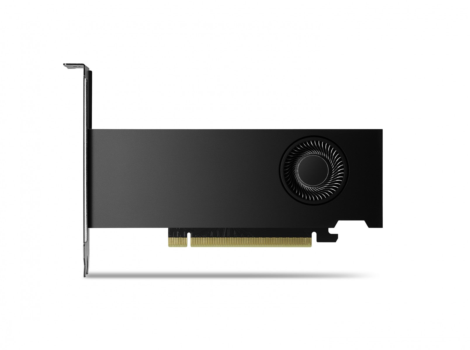 PNY NVIDIA RTX 2000 Génération Ada Low Profile Version OEM VCNRTX2000ADA-SB