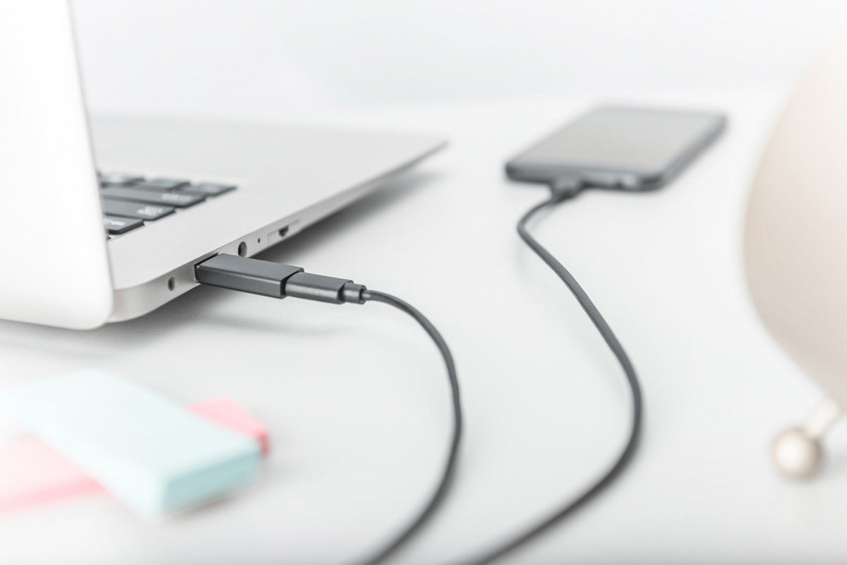 Digitus AK-300524-000-S changeur de genre de câble USB-C jack Noir