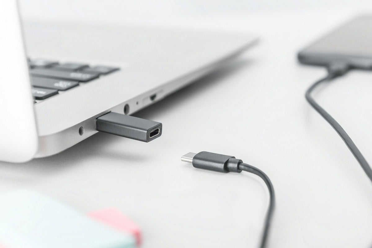 Digitus AK-300524-000-S changeur de genre de câble USB-C jack Noir