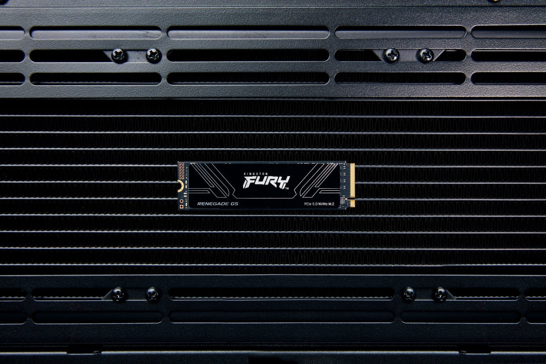 KINGSTON FURY Renegade G5 2048Go PCIe 5.0 M.2 NVMe SSD