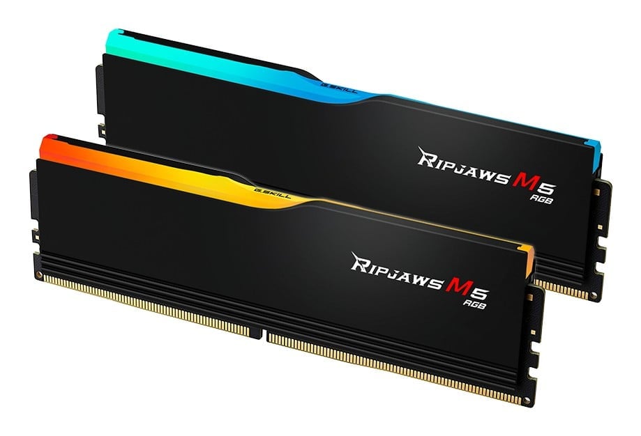 G.Skill Ripjaws M5 RGB F5-6400J3239G32GX2-RM5RK module de mémoire 64 Go 2 x 32 Go DDR5