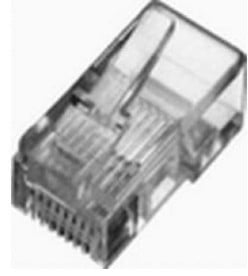 Assmann Electronic RJ45 (8P8C) - RJ45 - Transparent - Cat5e - 100 piece(s)