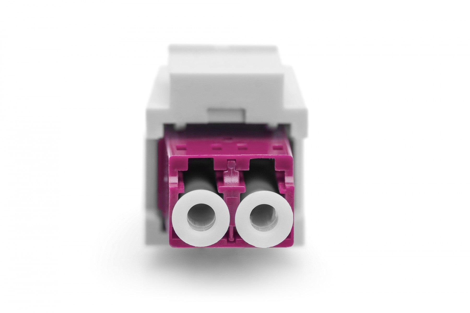 Support keystone pour adaptateur LC (avec adaptateur LC/LC duplex, multimode OM4, violet) inclus