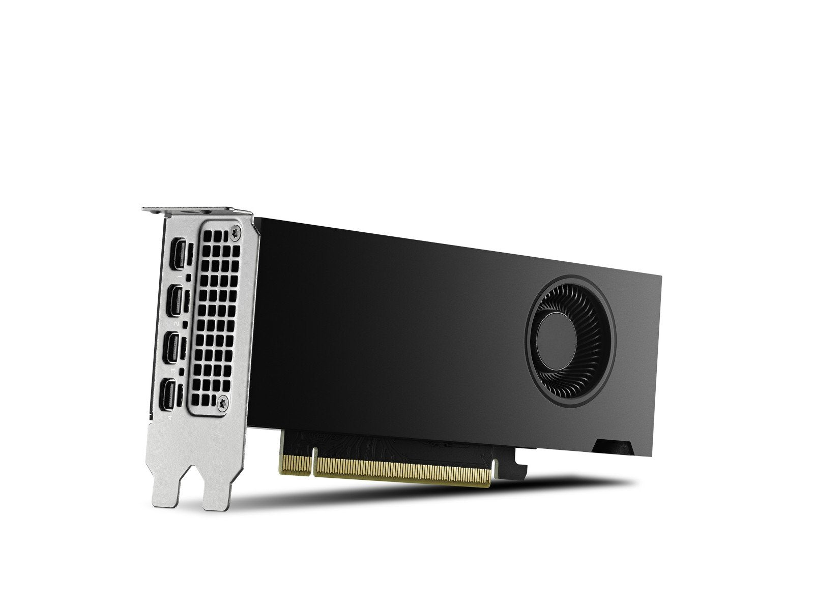 PNY NVIDIA RTX 2000 Génération Ada Low Profile Version OEM VCNRTX2000ADA-SB