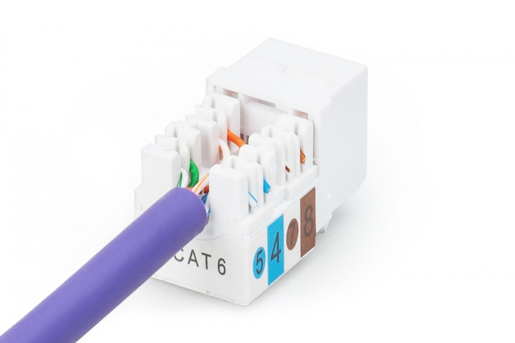 Digitus DN-93601 Module (prise) keystone RJ45 (8P8C) Cat. 6, UTP, non blindé, sans outil, blanc, 1 piece