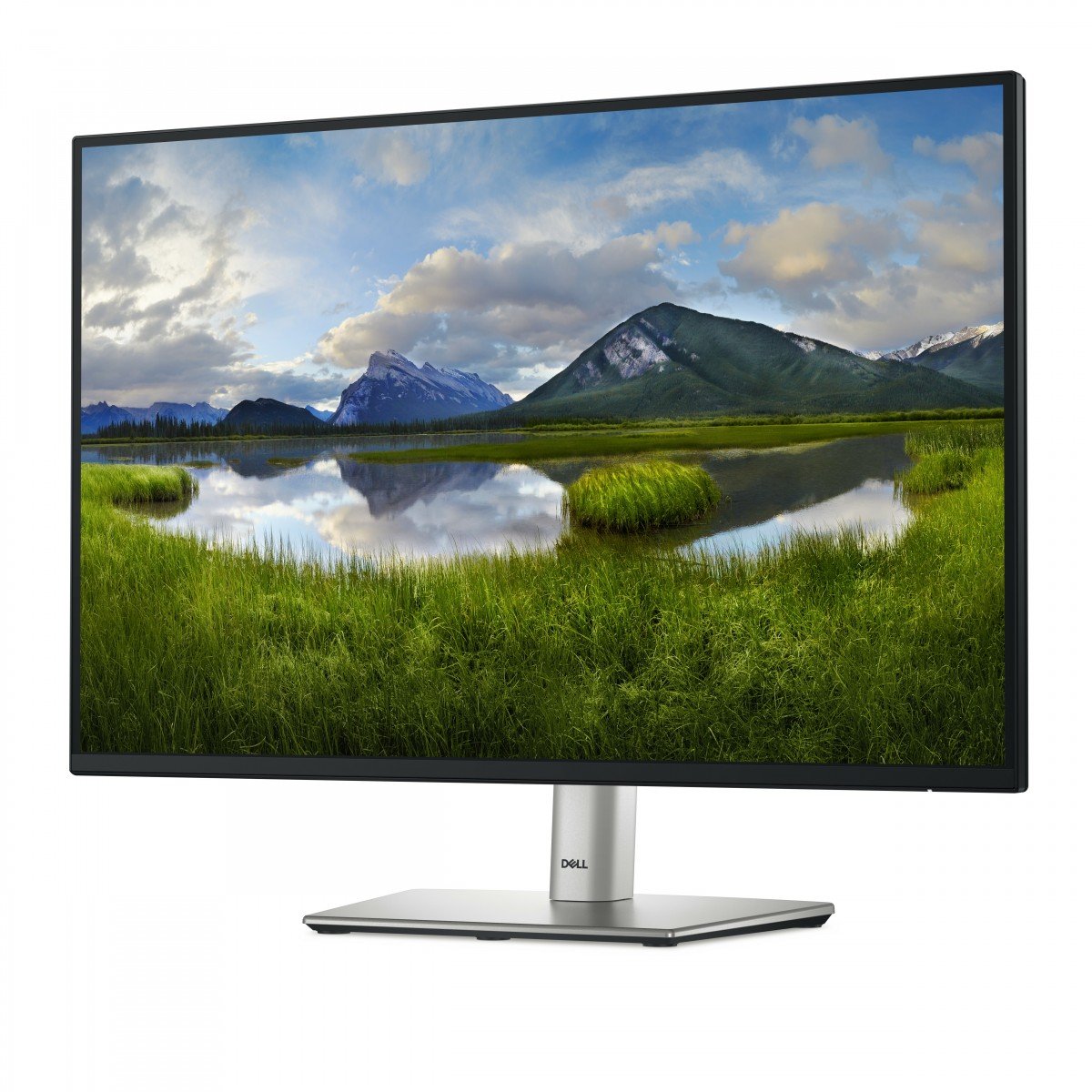 Dell 24" P2425E USB-C Hub Monitor