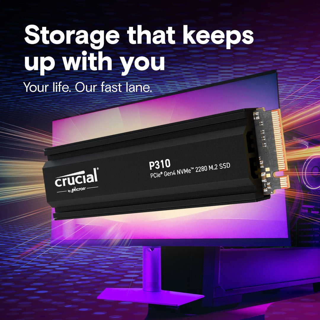 P310 4TB PCIe G42280 NVMe M.2 w heatsink