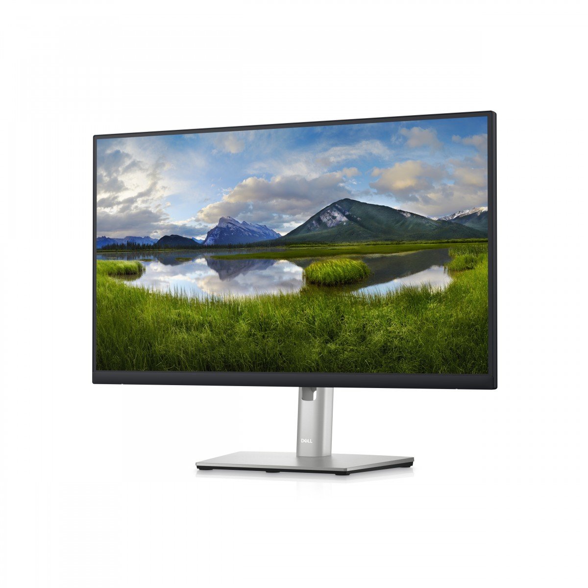 DELL P Series Écran hub 24 USB-C - P2423DE