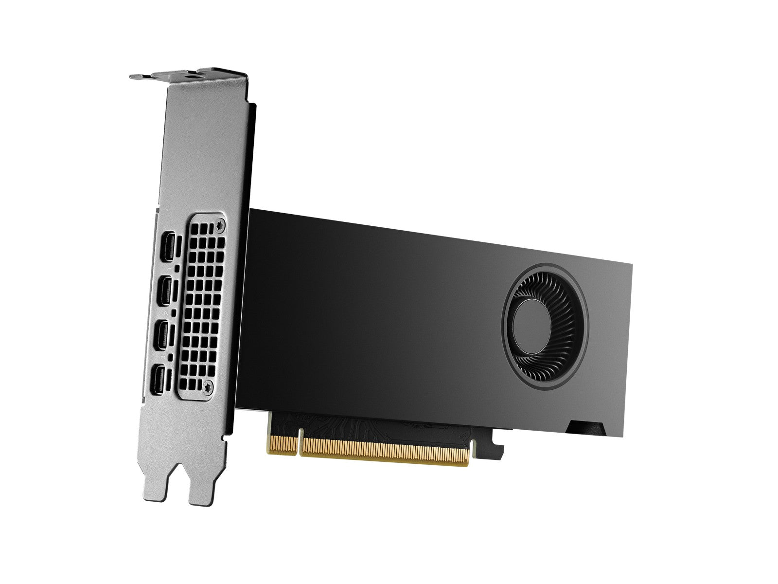 PNY NVIDIA RTX 2000 Génération Ada Low Profile Version OEM VCNRTX2000ADA-SB